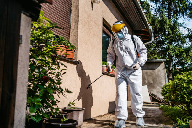 Best Pest Control Near Me  in South Daytona, FL